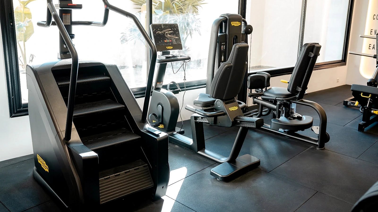 The cardio line — stair climber, cross trainers and cycles — set along the windows.